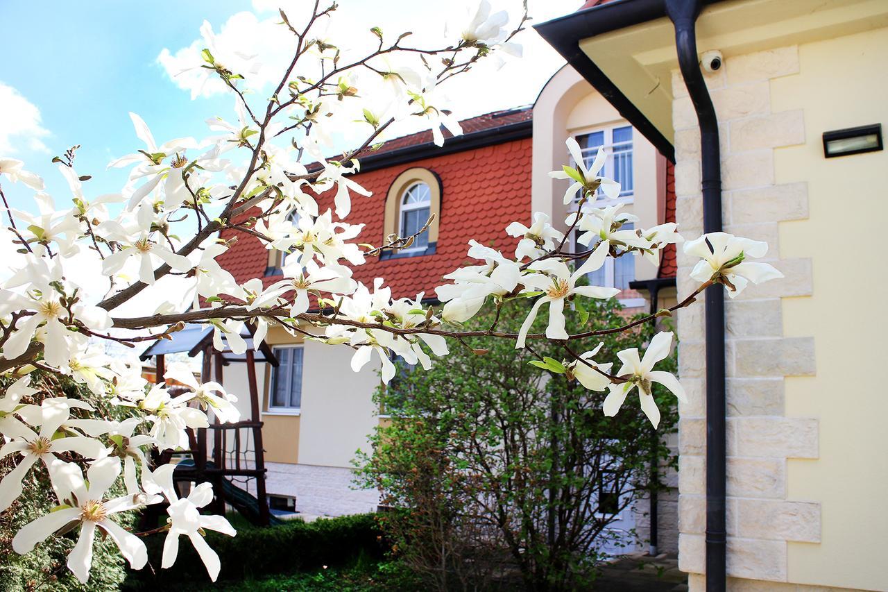 Marben Panzio Bed & Breakfast Hegykő Dış mekan fotoğraf